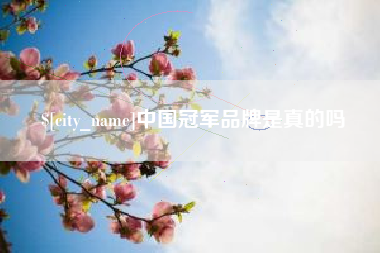 淮安中国冠军品牌是真的吗