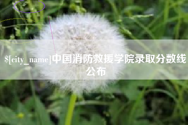 淮安中国消防救援学院录取分数线公布