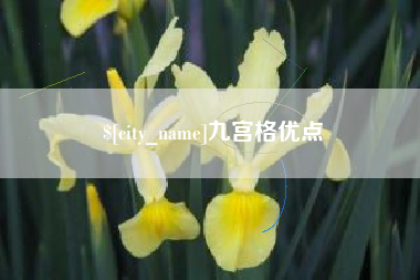 淮安九宫格优点