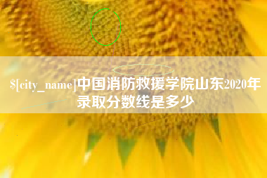 淮安中国消防救援学院山东2020年录取分数线是多少