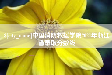淮安中国消防救援学院2021年浙江省录取分数线