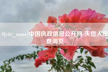淮安中国执政信息公开网-失信人员查询页