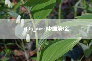 淮安中国第9金