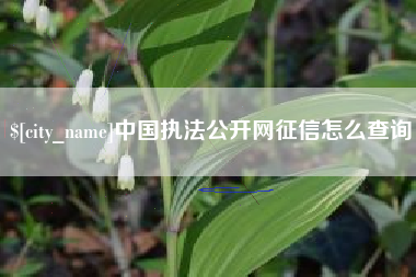 淮安中国执法公开网征信怎么查询