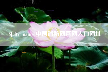 淮安中国消防网官网入口网址