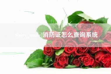 淮安消防证怎么查询系统