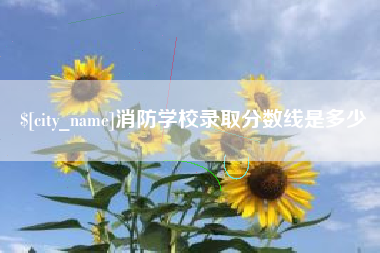 淮安消防学校录取分数线是多少
