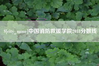 淮安中国消防救援学院2018分数线