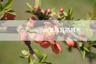 淮安2021年九宫格风水