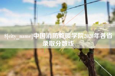 淮安中国消防救援学院2020年各省录取分数线