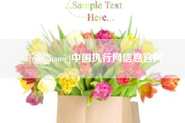 淮安中国执行网信息官网