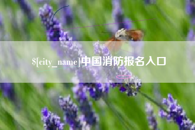 淮安中国消防报名入口