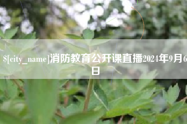 淮安消防教育公开课直播2024年9月6日