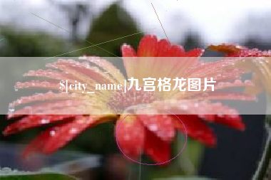 淮安九宫格龙图片