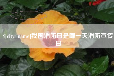 淮安我国消防日是哪一天消防宣传日