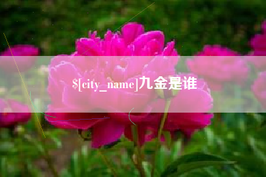 淮安九金是谁
