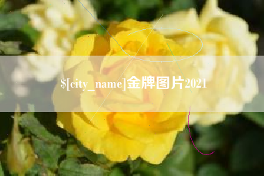 淮安金牌图片2021