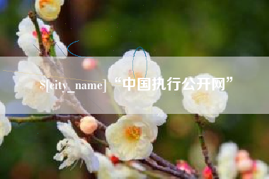 淮安“中国执行公开网”