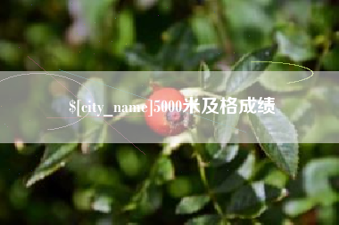 淮安5000米及格成绩