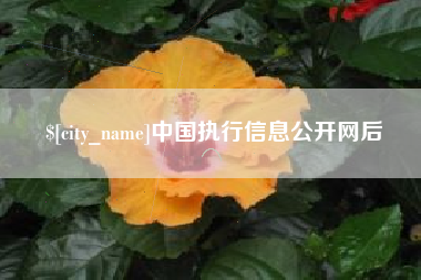 淮安中国执行信息公开网后