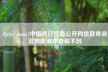 淮安中国执行信息公开网信息查询官网限消中查询不到