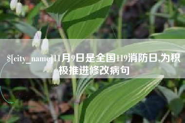 淮安11月9日是全国119消防日,为积极推进修改病句