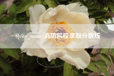 淮安消防院校录取分数线