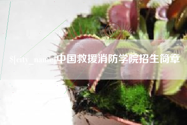淮安中国救援消防学院招生简章
