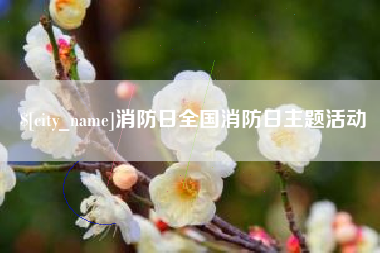 淮安消防日全国消防日主题活动