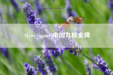 淮安中国九枚金牌