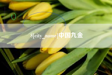 淮安中国九金