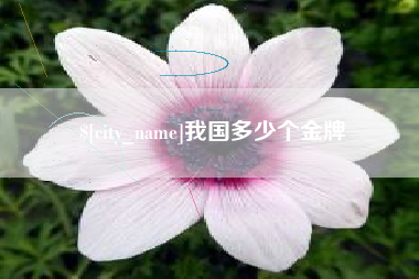 淮安我国多少个金牌