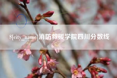 淮安消防救援学院四川分数线
