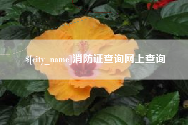 淮安消防证查询网上查询