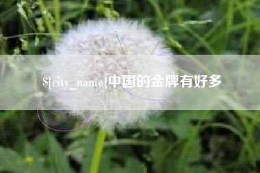 淮安中国的金牌有好多