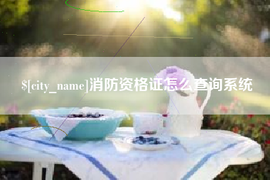 淮安消防资格证怎么查询系统