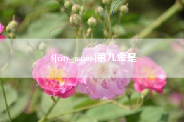 淮安第九金是