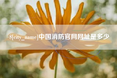 淮安中国消防官网网址是多少