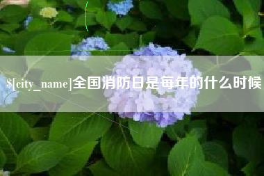 淮安全国消防日是每年的什么时候
