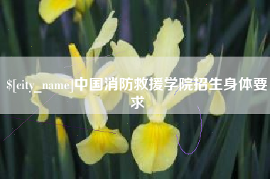 淮安中国消防救援学院招生身体要求