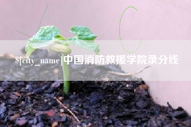 淮安中国消防救援学院录分线