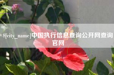 淮安中国执行信息查询公开网查询官网