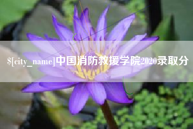 淮安中国消防救援学院2020录取分