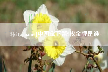 淮安中国拿下第9枚金牌是谁