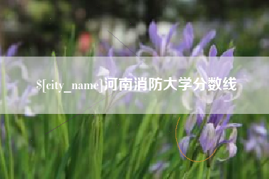 淮安河南消防大学分数线