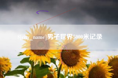 淮安男子世界5000米记录