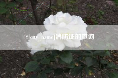 淮安消防证的查询