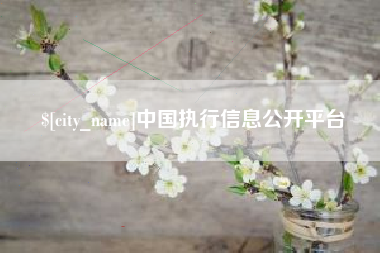 淮安中国执行信息公开平台