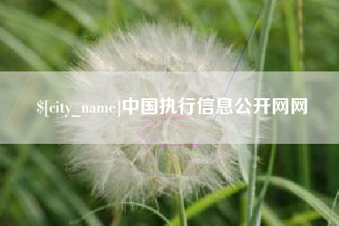 淮安中国执行信息公开网网