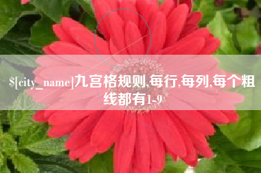 淮安九宫格规则,每行,每列,每个粗线都有1-9